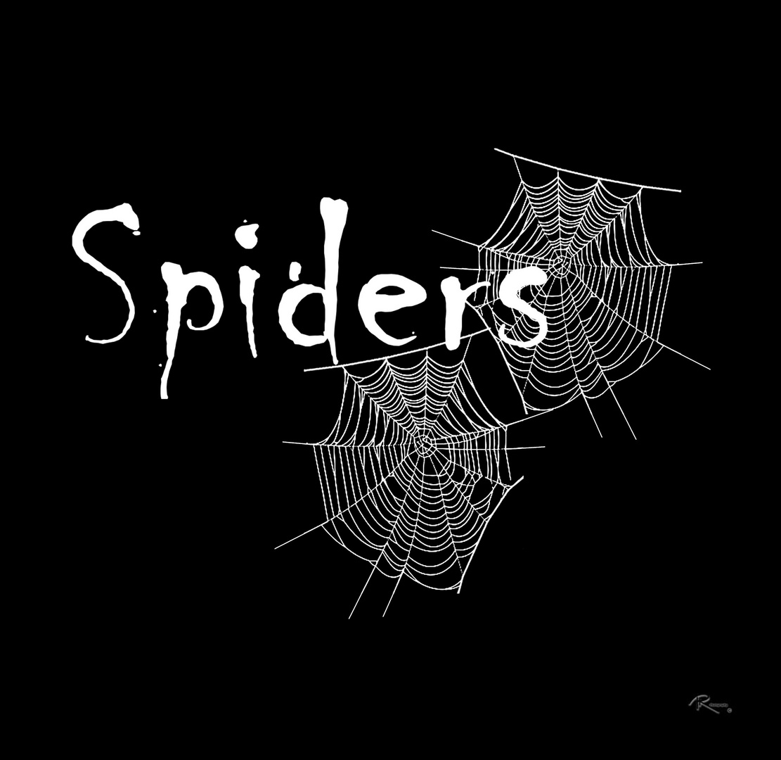 Spiders