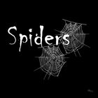 Spiders