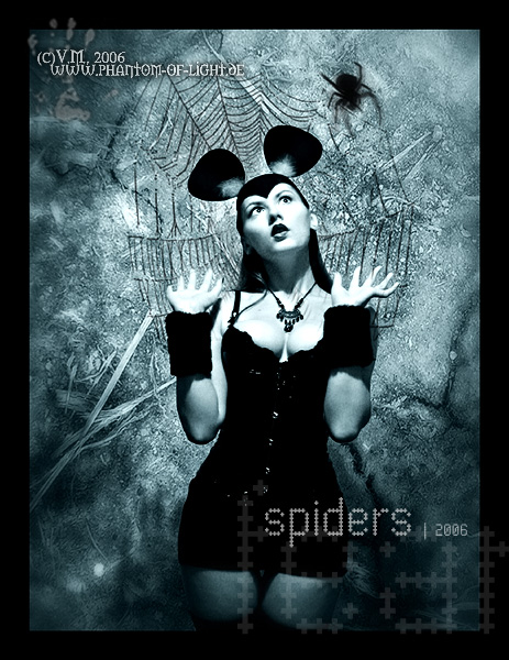 ::spiders::