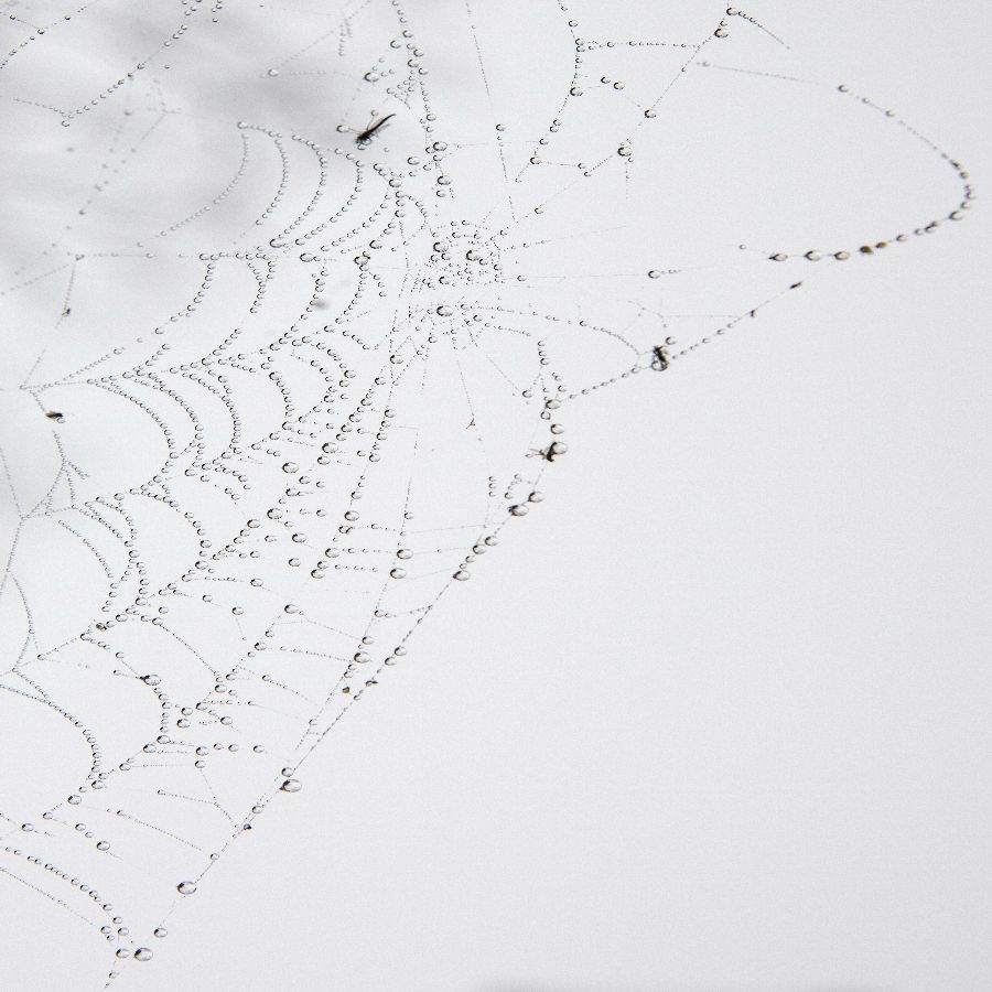 Spiders Diadem