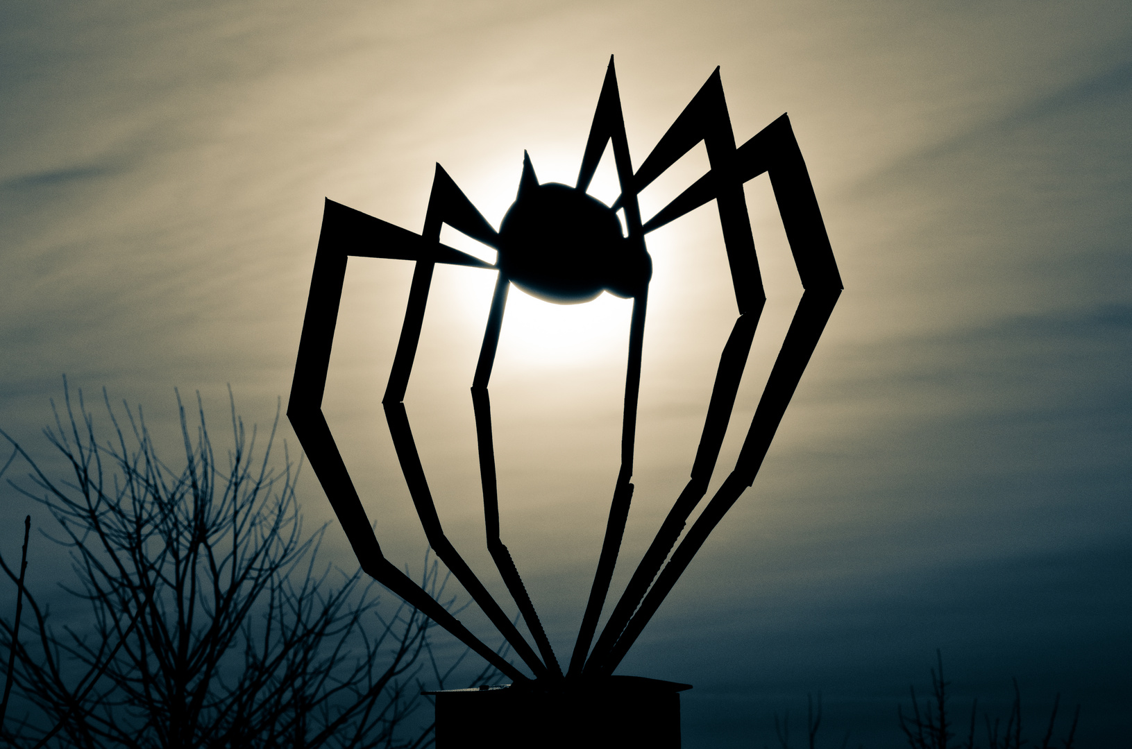 Spidersun