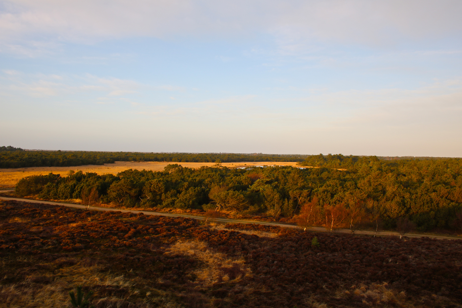 Spidsbjerg - Blick von der Düne nach Nordwest