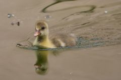 Spiegeiln, Spiegeiln...... Wer ist die Schönste im ganzen Land?