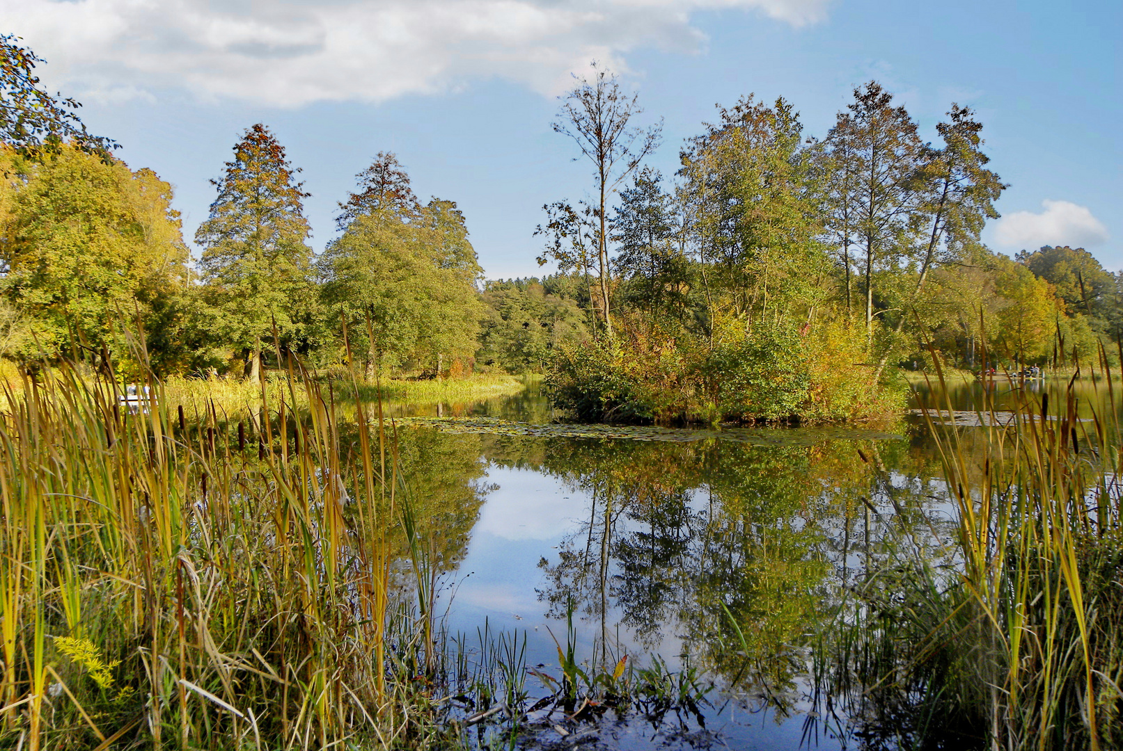 Spiegel am Heidesee