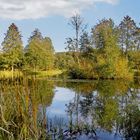 Spiegel am Heidesee