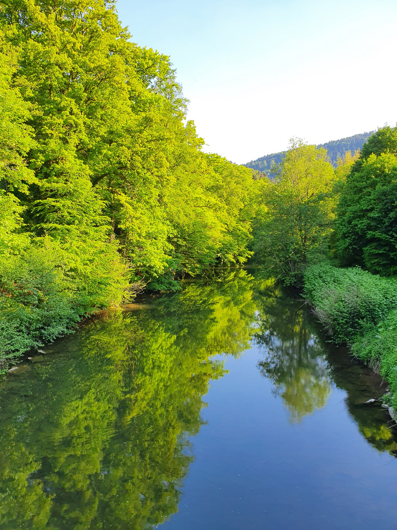 Spiegel der Nagold bei der Monbachschlucht