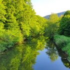 Spiegel der Nagold bei der Monbachschlucht