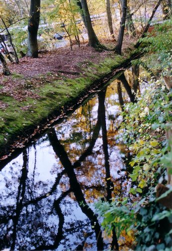 Spiegel der Natur