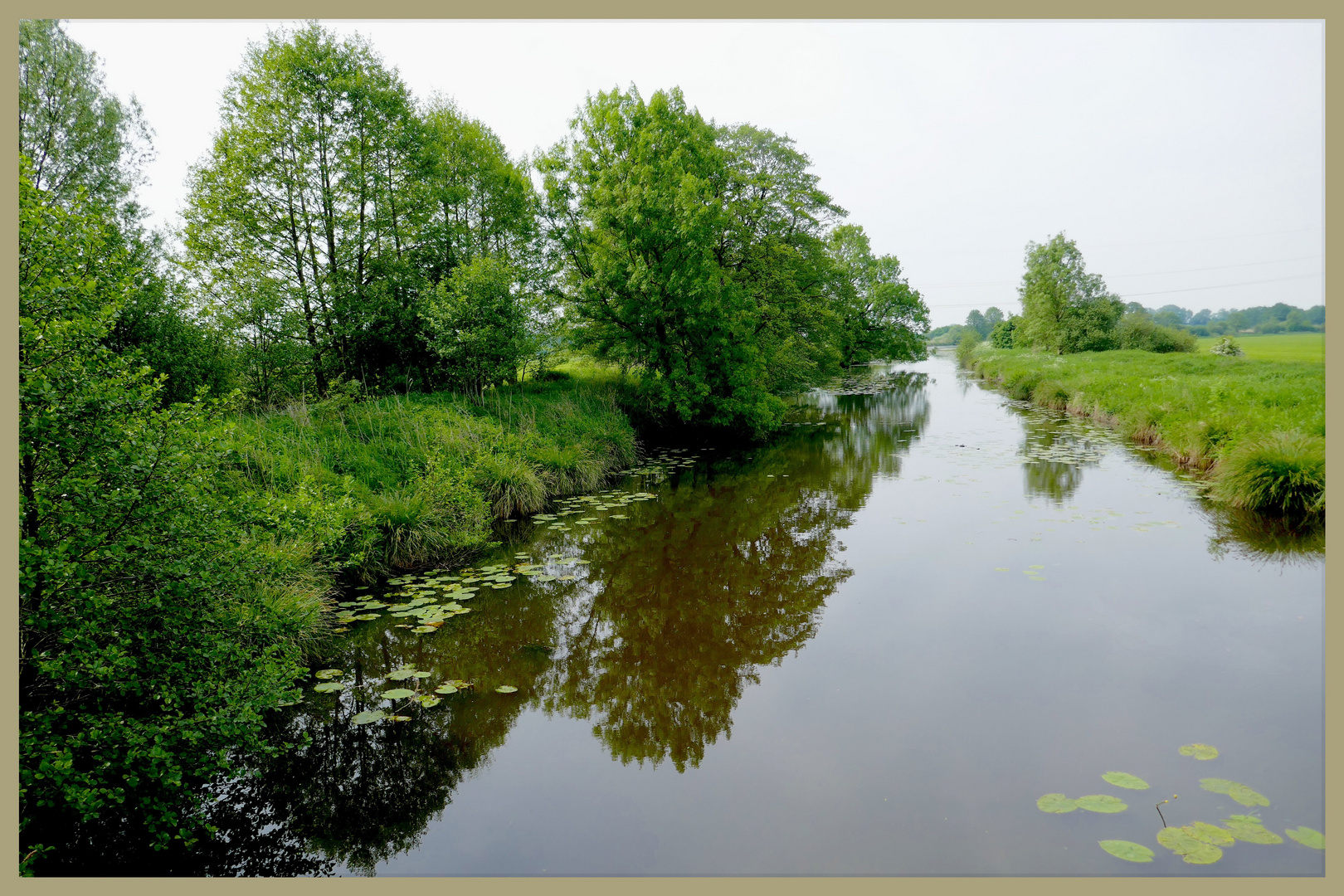 Spiegel der Natur