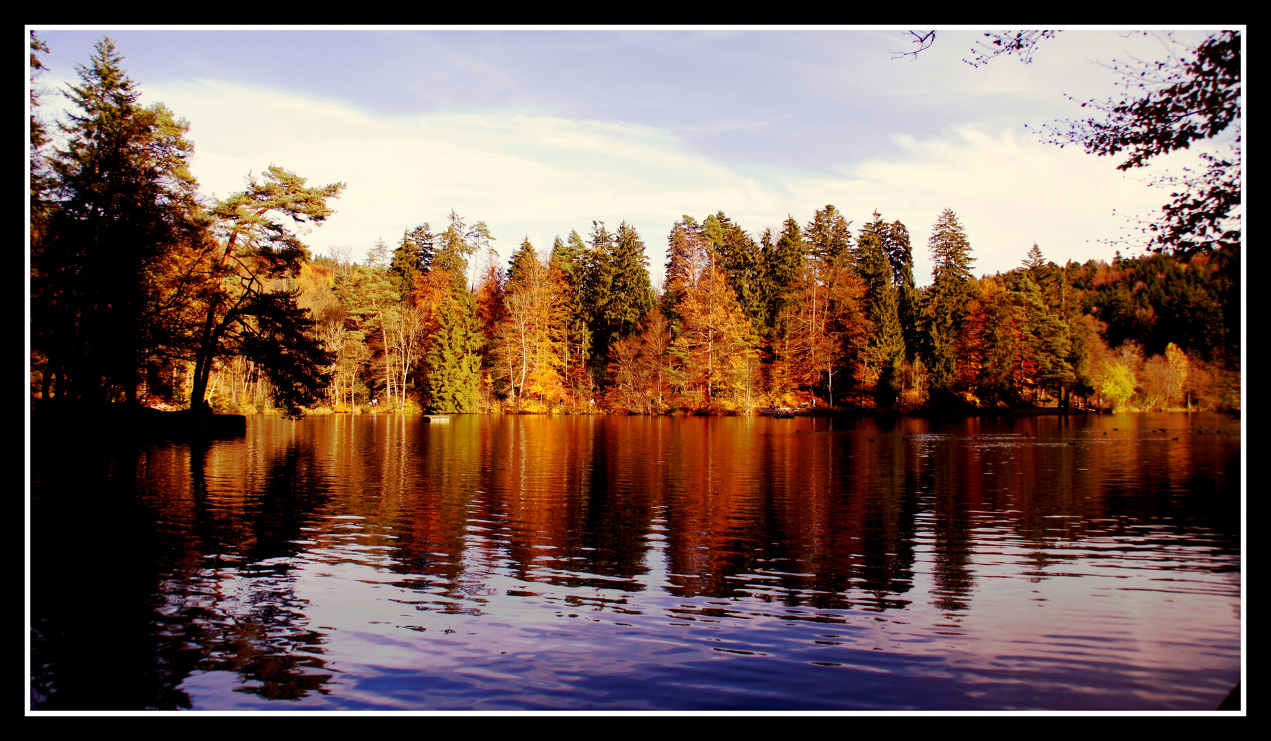 Spiegel der Natur