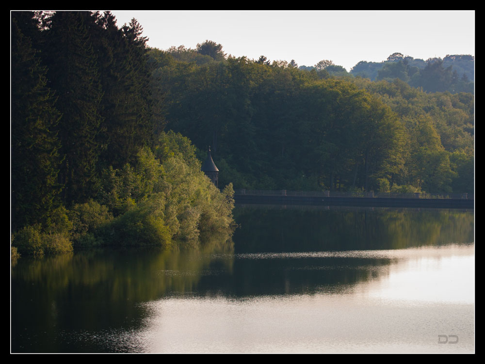 Spiegel der Natur