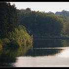 Spiegel der Natur