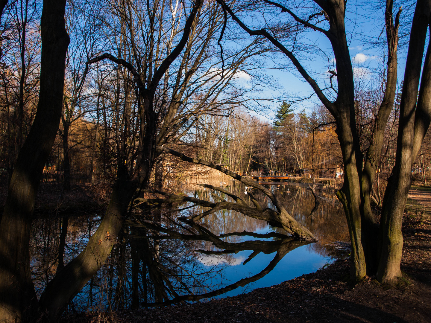 Spiegel der Natur