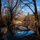 Spiegel der Natur