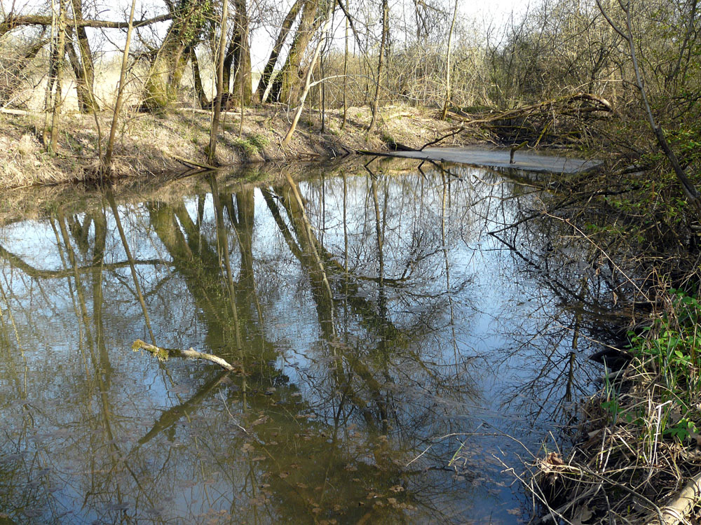 Spiegel der Natur