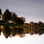 Spiegel der Natur