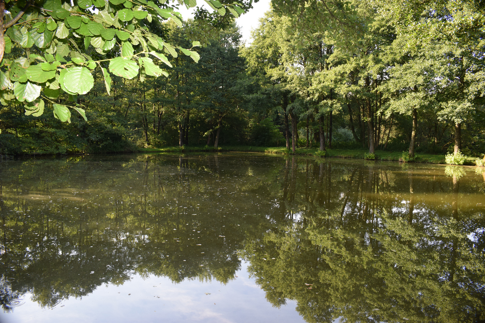 Spiegel der Natur I