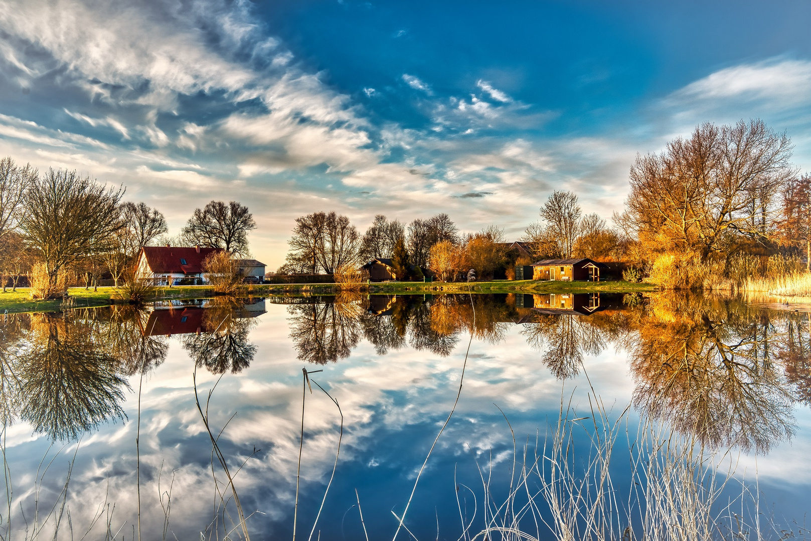 Spiegel-Dienstag ! Wer ist der schönste Baum am See ?