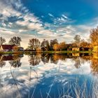 Spiegel-Dienstag ! Wer ist der schönste Baum am See ?