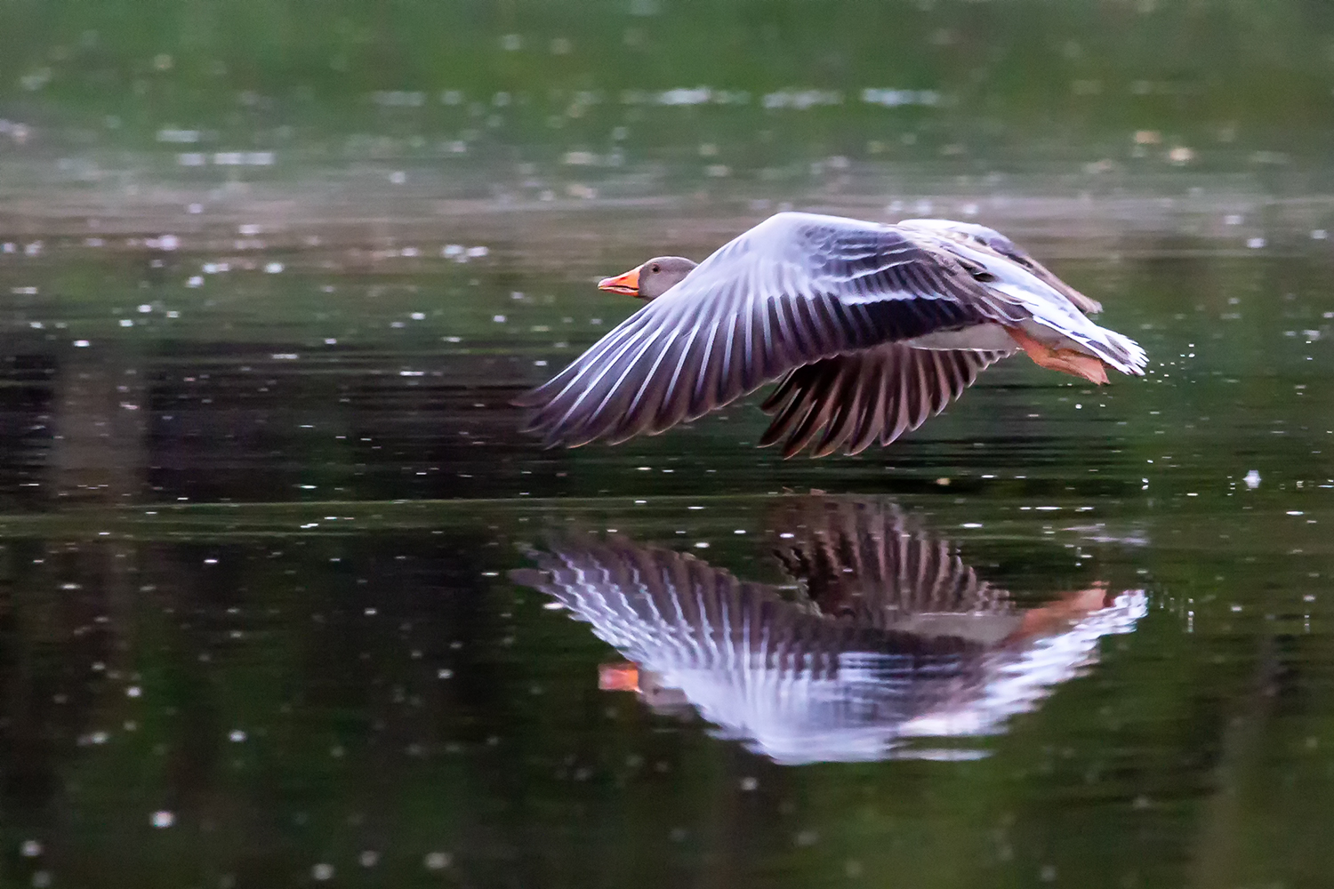 spiegel flug