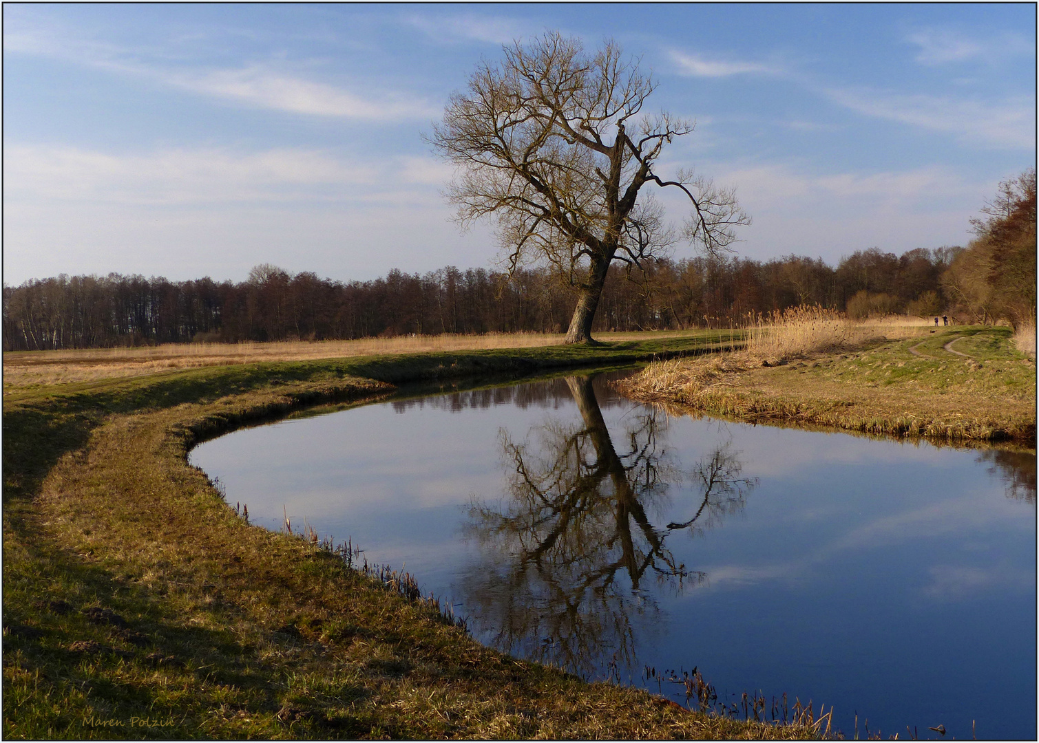 Spiegel im Fluss