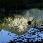 Spiegel im Toplitzsee