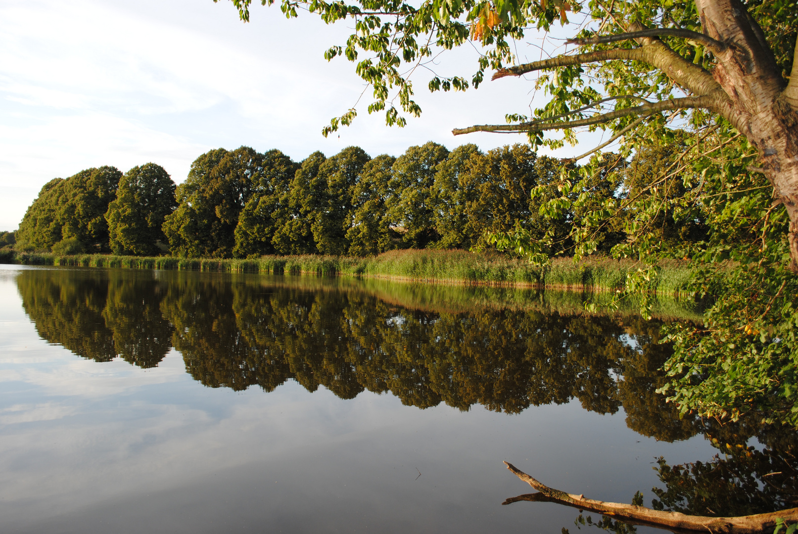 Spiegel im Vielbecker See