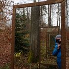Spiegel im Wald