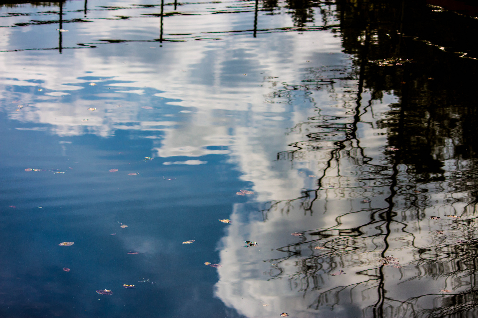 Spiegel im Wasser II