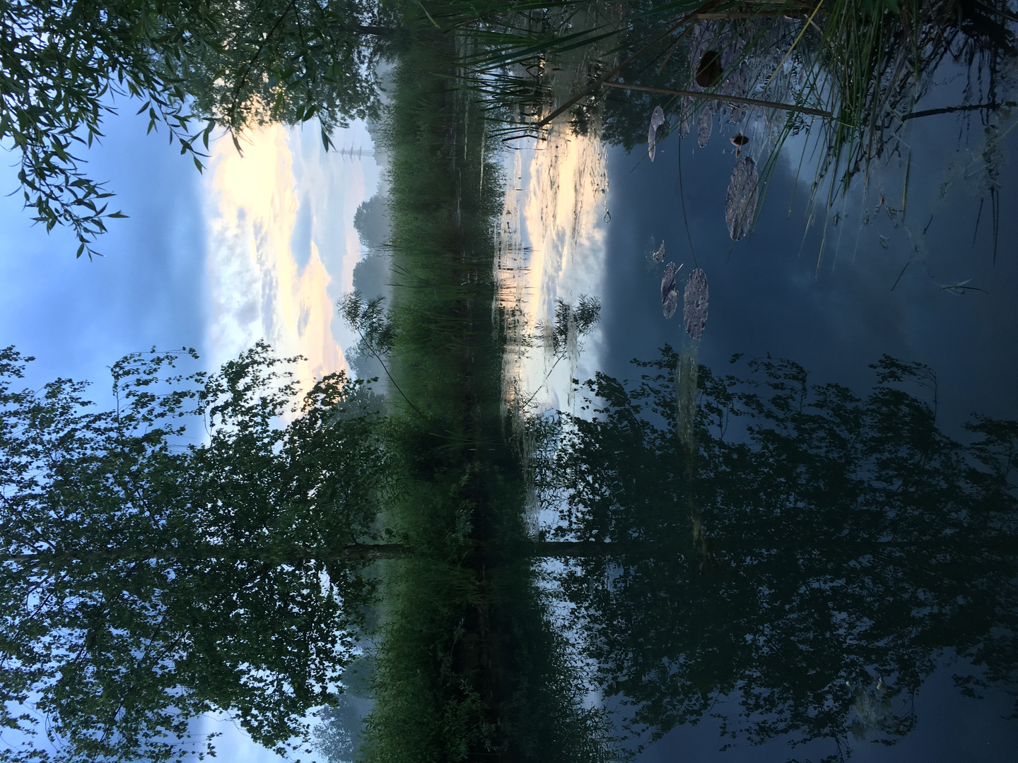 Spiegel nach Sommerregen