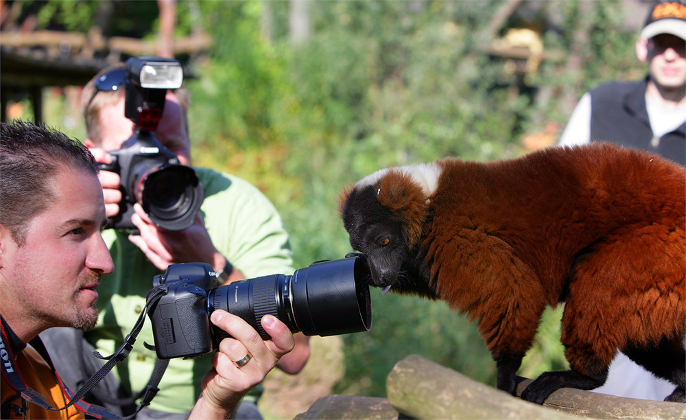 "Spiegel oder Reflex?"