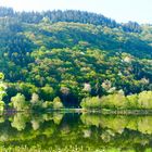 Spiegel-Panorama Mosel 20150423