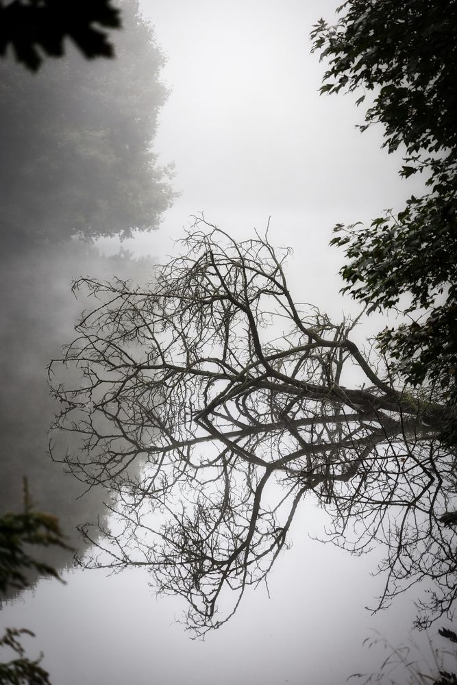 Spiegel trotz Nebel