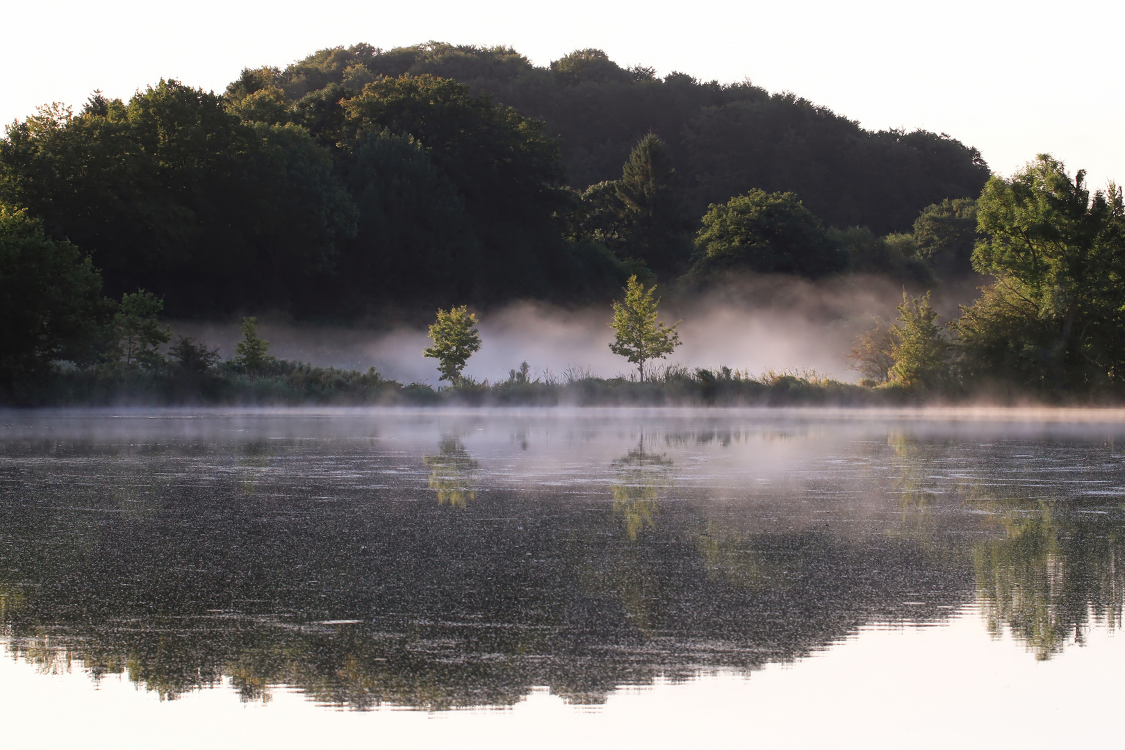 Spiegel und Nebel bei Freudenholm (Lanker See) - mirror and misty area at Freudenholm (Lanker See)