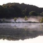 Spiegel und Nebel bei Freudenholm (Lanker See) - mirror and misty area at Freudenholm (Lanker See)