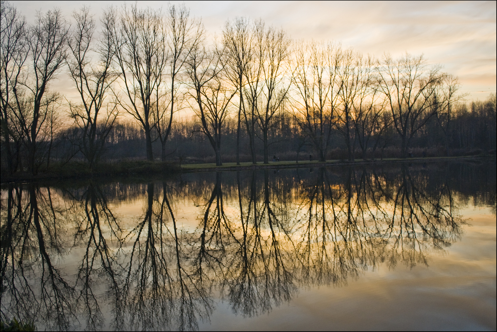 Spiegelbäume