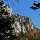 Spiegelberg im Jura, Herbst