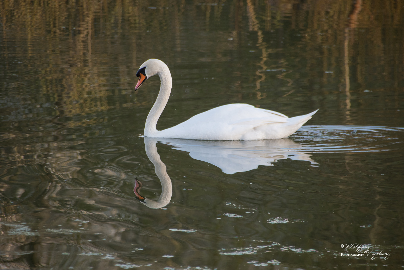 Spiegelbild