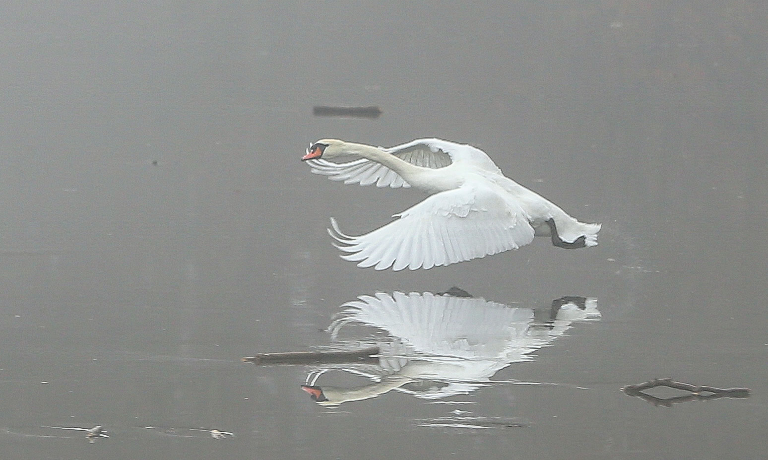 spiegelbild