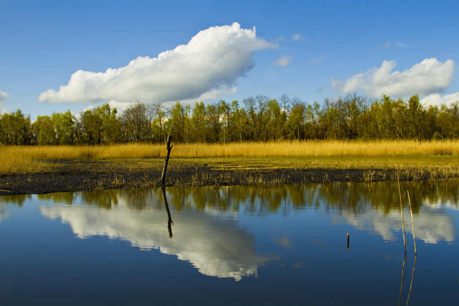 Spiegelbild