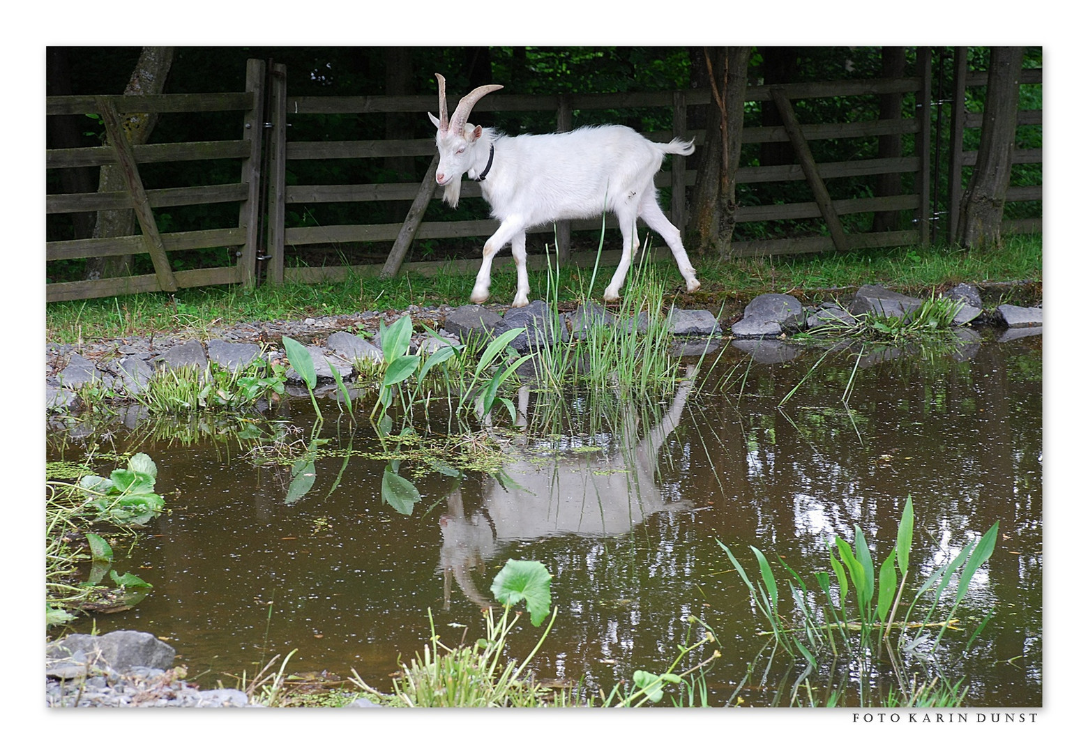 Spiegelbild