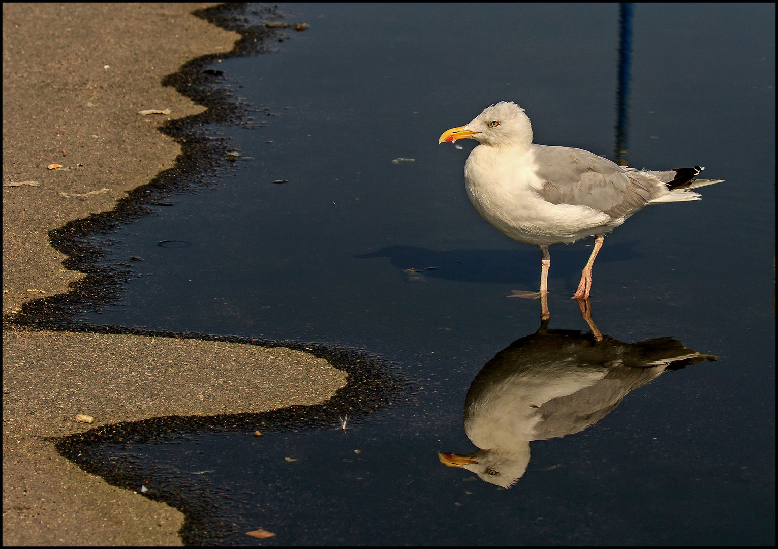 Spiegelbild  !!!