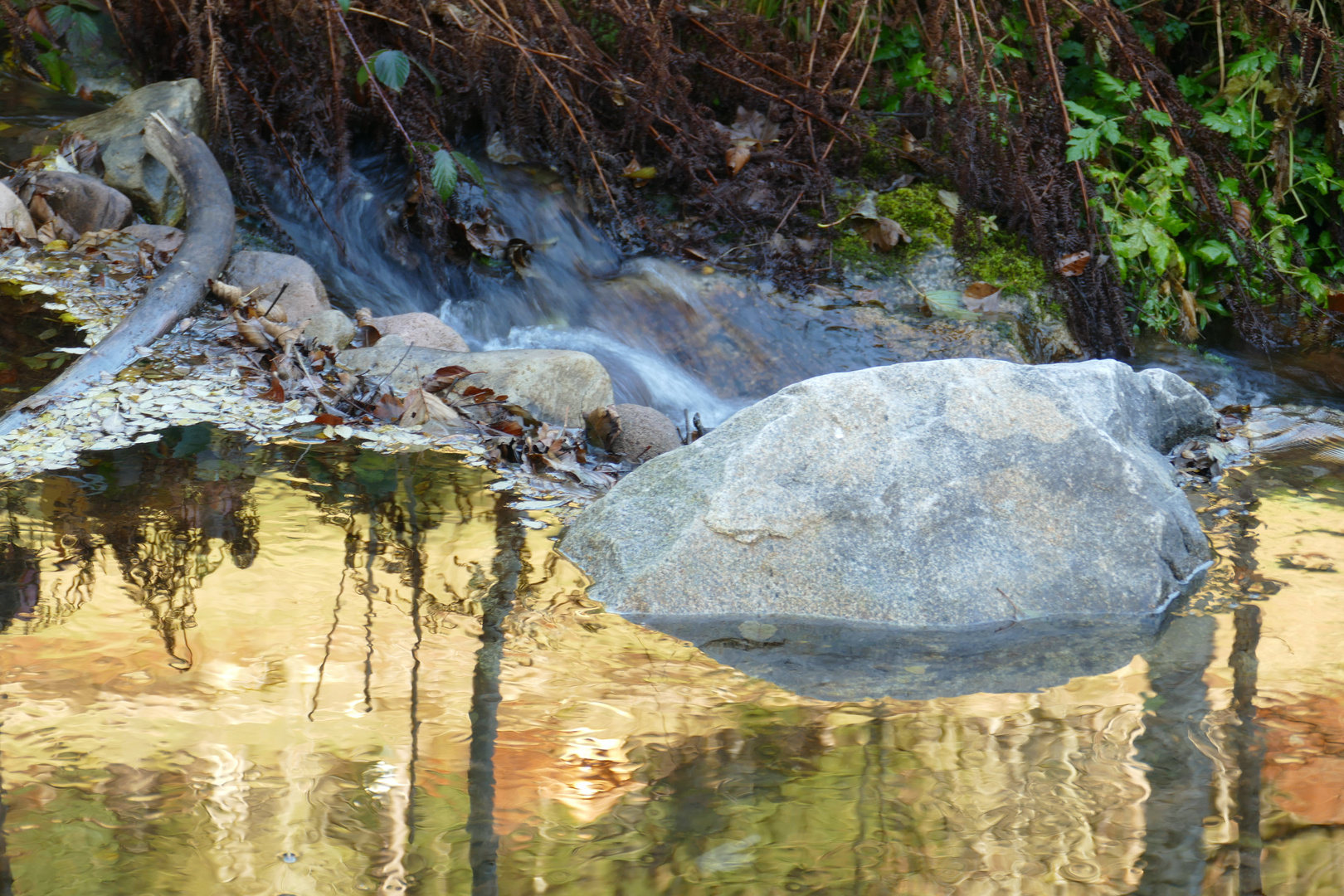 °°°° Spiegelbild am Bachlauf °°°°