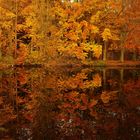  Spiegelbild am Baldeneysee