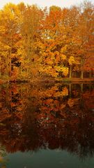  Spiegelbild am Baldeneysee