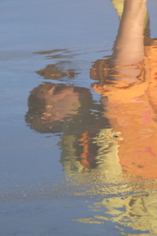 Spiegelbild am Strand