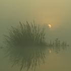 Spiegelbild-Bild (Sonnenaufgang im Nebel)