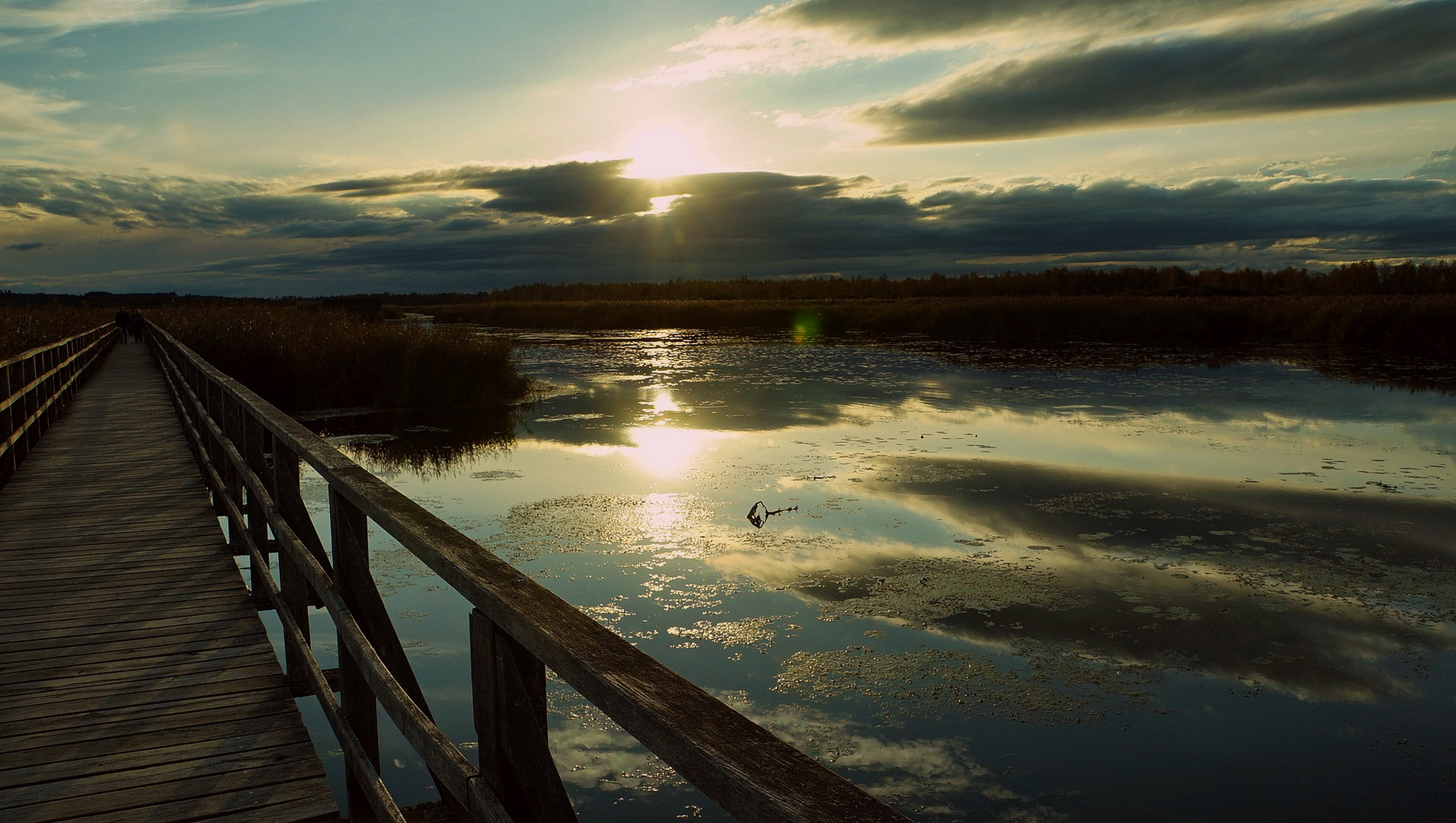 Spiegelbild-Bild (Sonnenuntergang II)