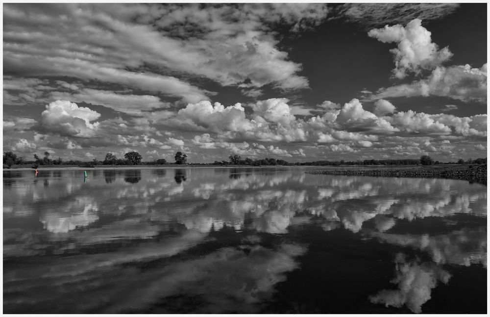 SPIEGELBILD DER ELBE