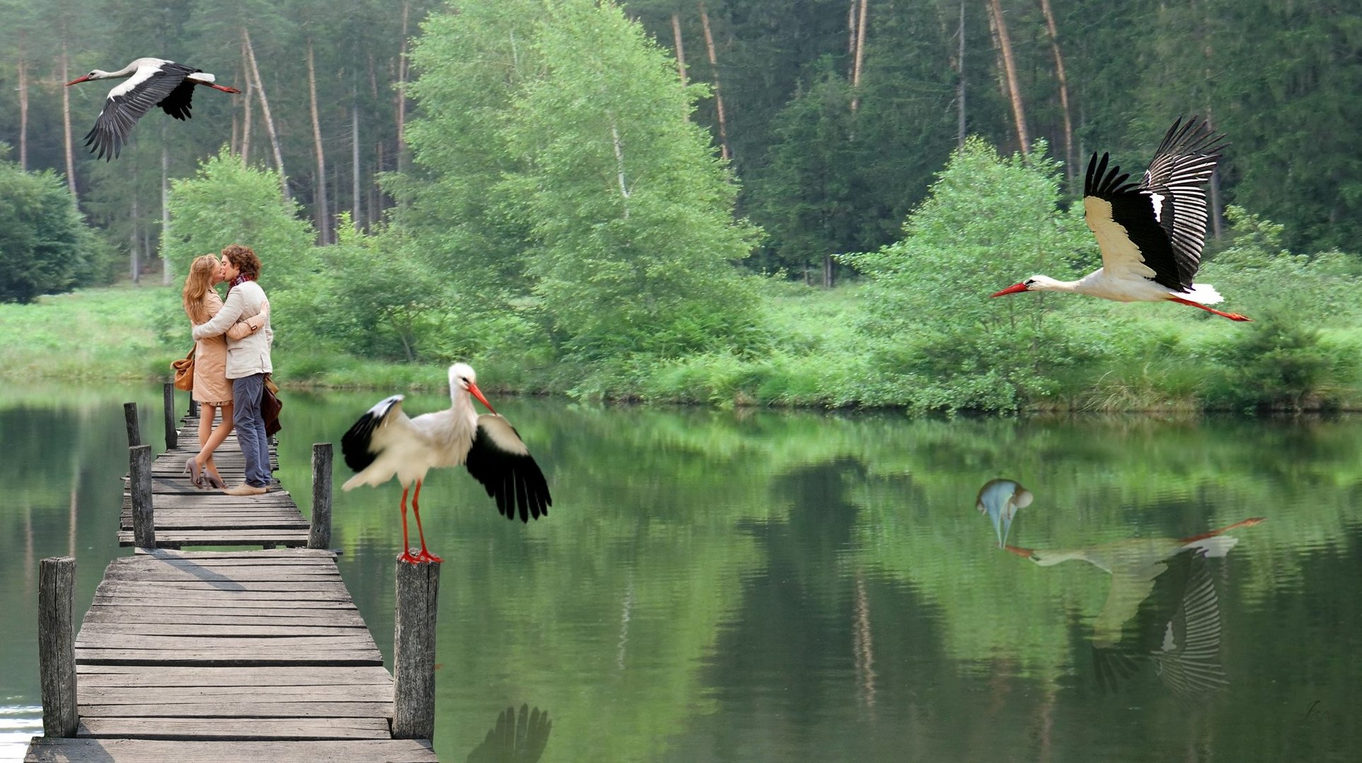 Spiegelbild der guten Hoffnung